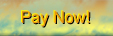 Pay Now